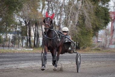 Ana sürücü trotter üzerinde.