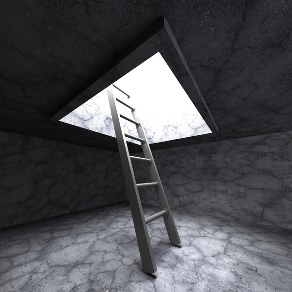 Ladder To Freedom Success 