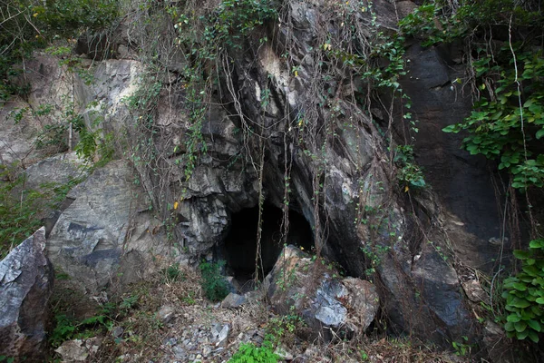 Vinhas cobertas de entrada para caverna — Fotografia de Stock