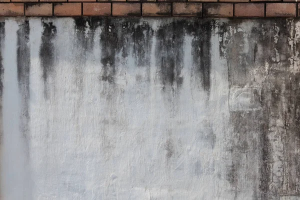 Festett fehér festék kopott fal — Stock Fotó