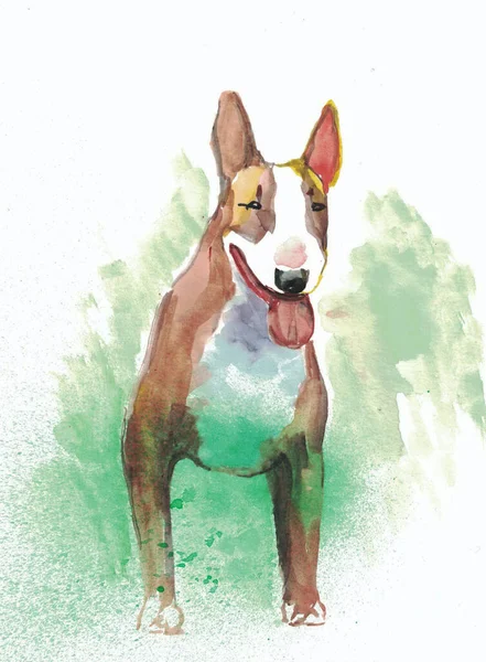 Sketch Bull Terrier Dog Bright Spotty Background — Stock Photo, Image