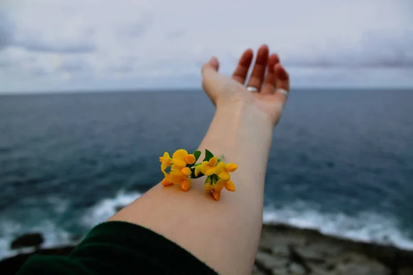 Denize bakan bir çiçek.