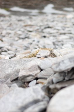 Deniz kıyısında farklı boyutlarda çeşitli gri kayalardan oluşan duvar kağıtları.