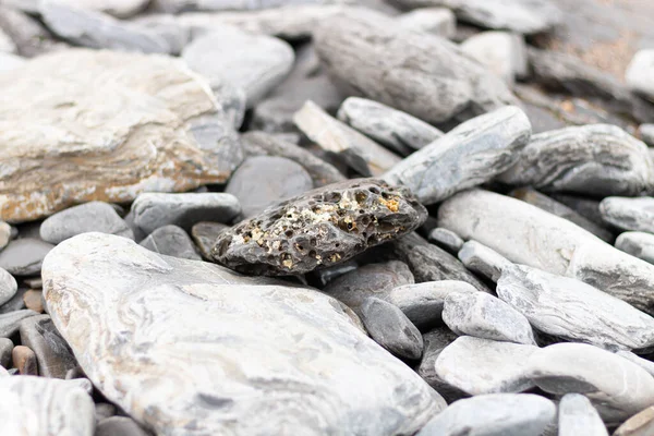 Nadir bulunan gri ve turuncu şekilli taş diğer taşlar ve kayalarla delinir. Duvar Kağıdı