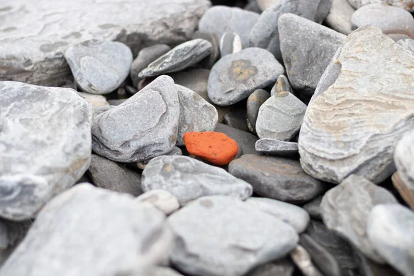 Bir sürü taş ve gri kayayla çevrili turuncu bir taş.
