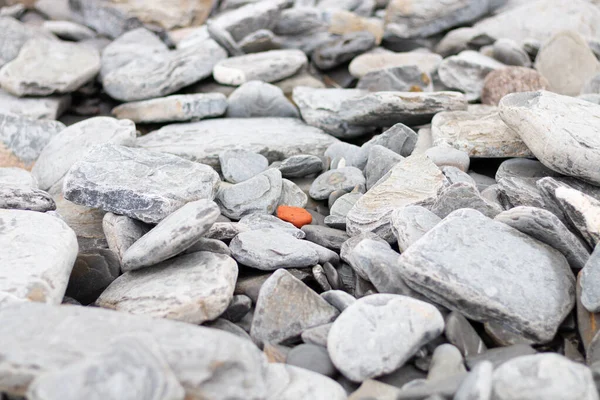 Orange Stone Surrounded Lots Stones Gray Rocks — Stock Photo, Image