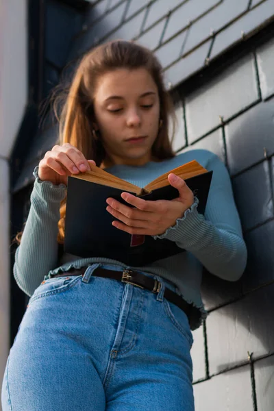 Chica Pelo Largo Leyendo Libro Las Manos — Foto de Stock