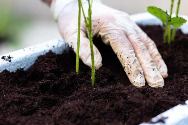 Adam evde bahçe işleriyle uğraşıyor.