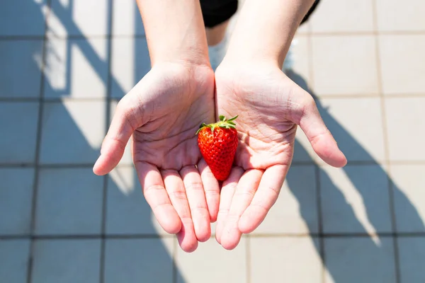 Elinde kalp şeklinde kırmızı çilek