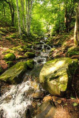 Dağdaki soğuk nehir