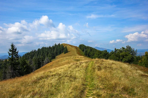 Chemin Sur Colline Dans Les Montagnes — Photo