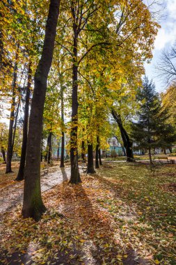 Sonbaharda parklardaki ağaçlar