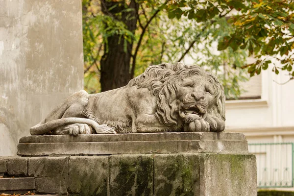 Löwenstatue Lviv — Stockfoto