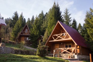 Ormanda küçük bir ev.