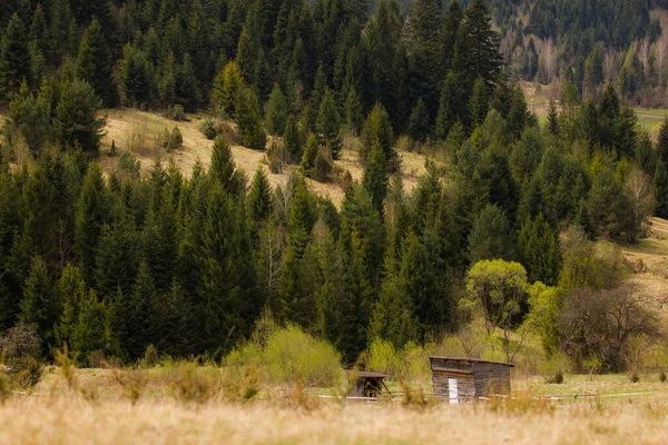 Kleine Holzhütte Wald — Stockfoto