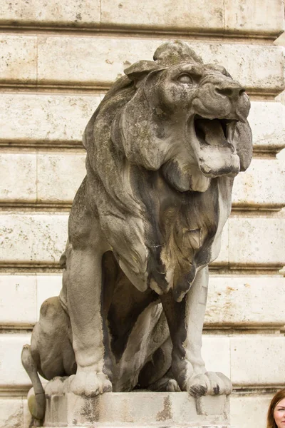 Estátua Pedra Antiga Leão — Fotografia de Stock