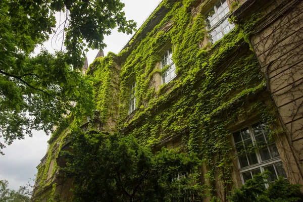 Tetto Verde Del Castello Vajdahunyad — Foto Stock