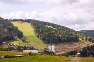 Karpatya rdağında yeşil yamaç