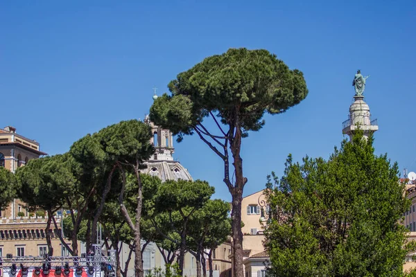 Деревья Центре Рима — стоковое фото