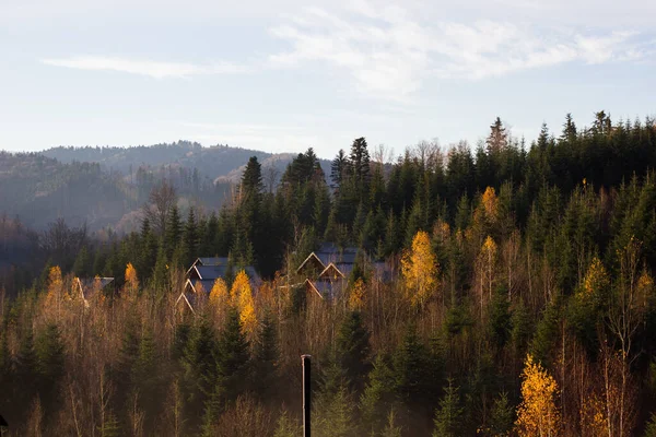 Bergdorf Einem Wald — Stockfoto