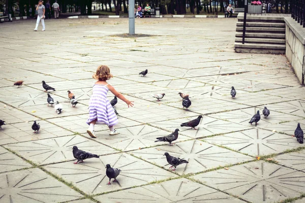 A little girl in a dress runs after the birds.