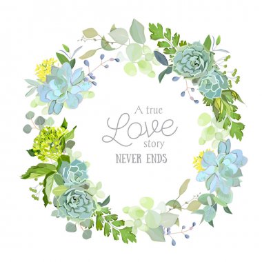 Bahar karışımı succulents, otlar ve bitkiler çerçeve çiçek