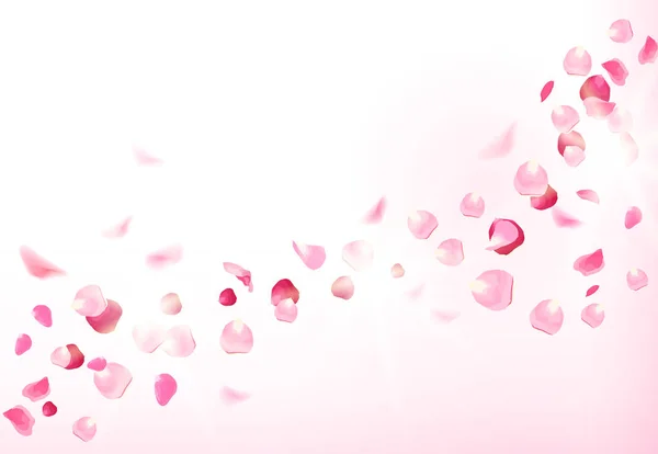 粉红色的玫瑰花瓣飞在空中与耀斑 — 图库矢量图片