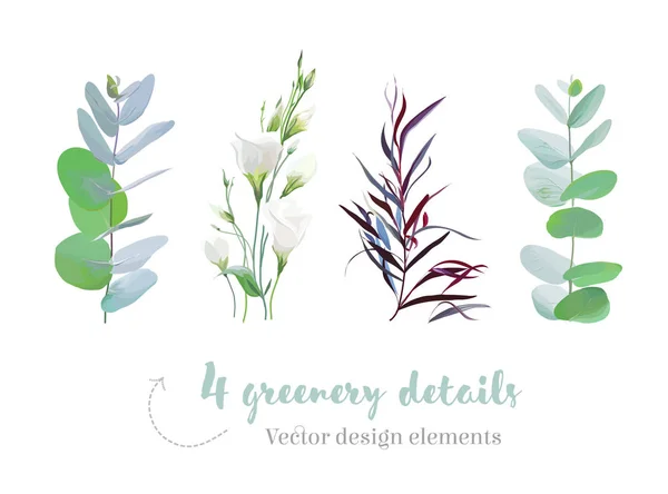 Mix of herbs and plants vector collection — Stock Vector