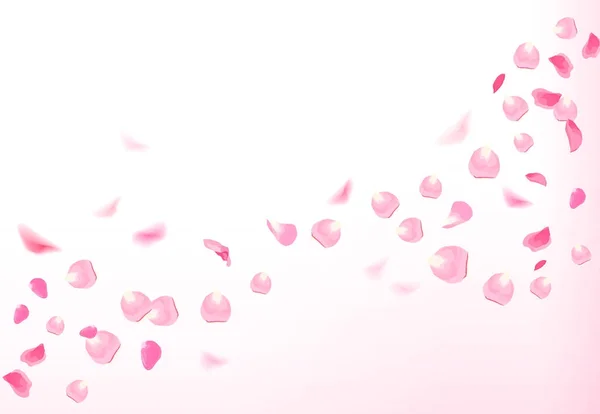 粉红色的玫瑰花瓣飞在空中与耀斑 — 图库矢量图片