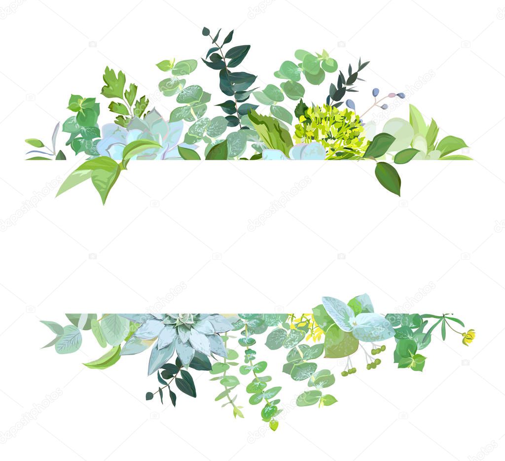 Horisontal botanical vector design banner