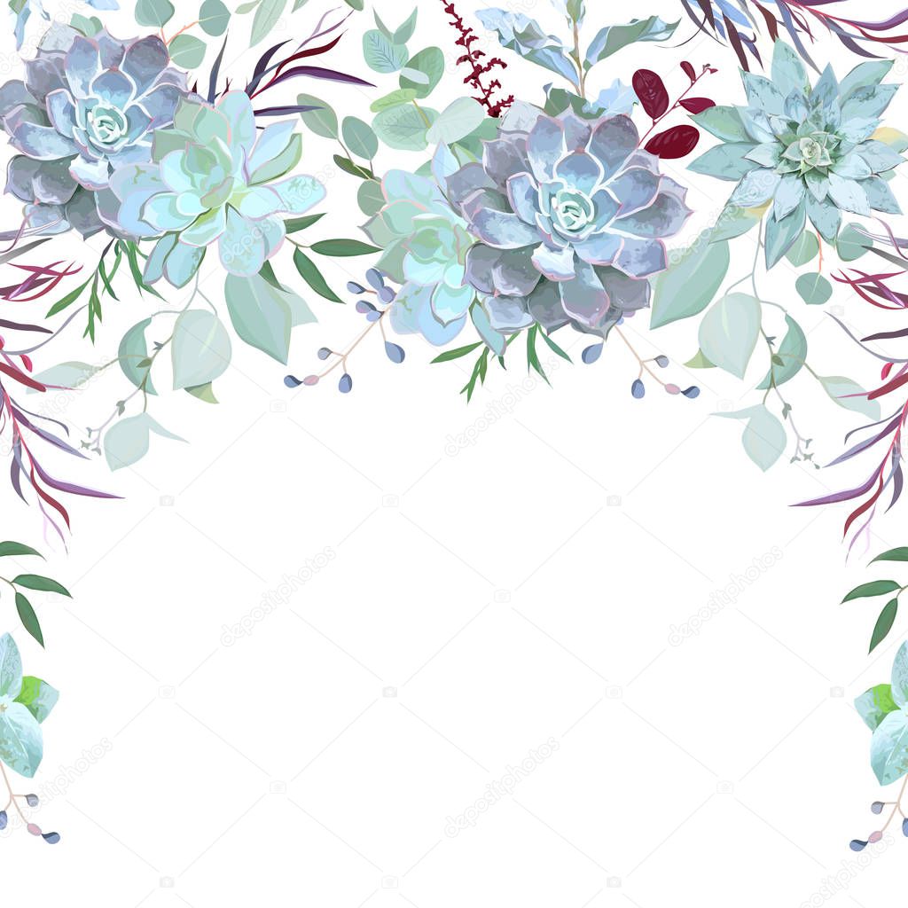 De plantas, ramas de hierbas marco semicircular garland — Vector de