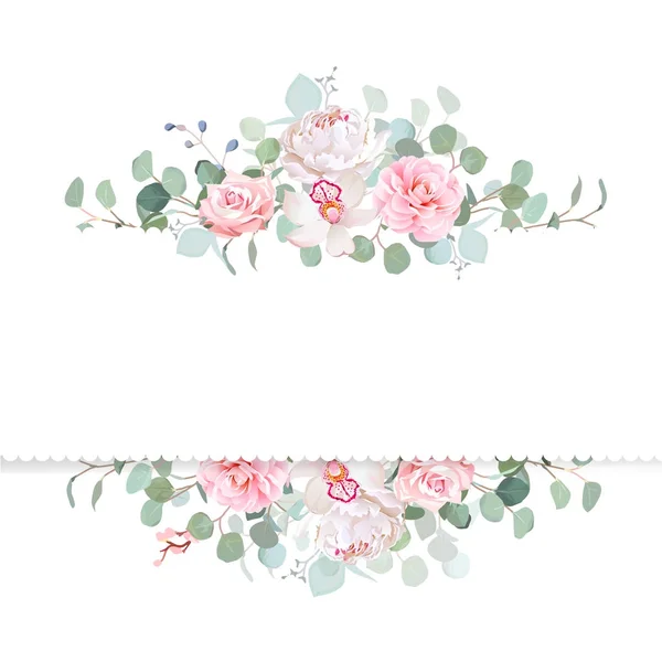 玫瑰, 茶花, 兰花, 牡丹, 银元桉树向量 d — 图库矢量图片
