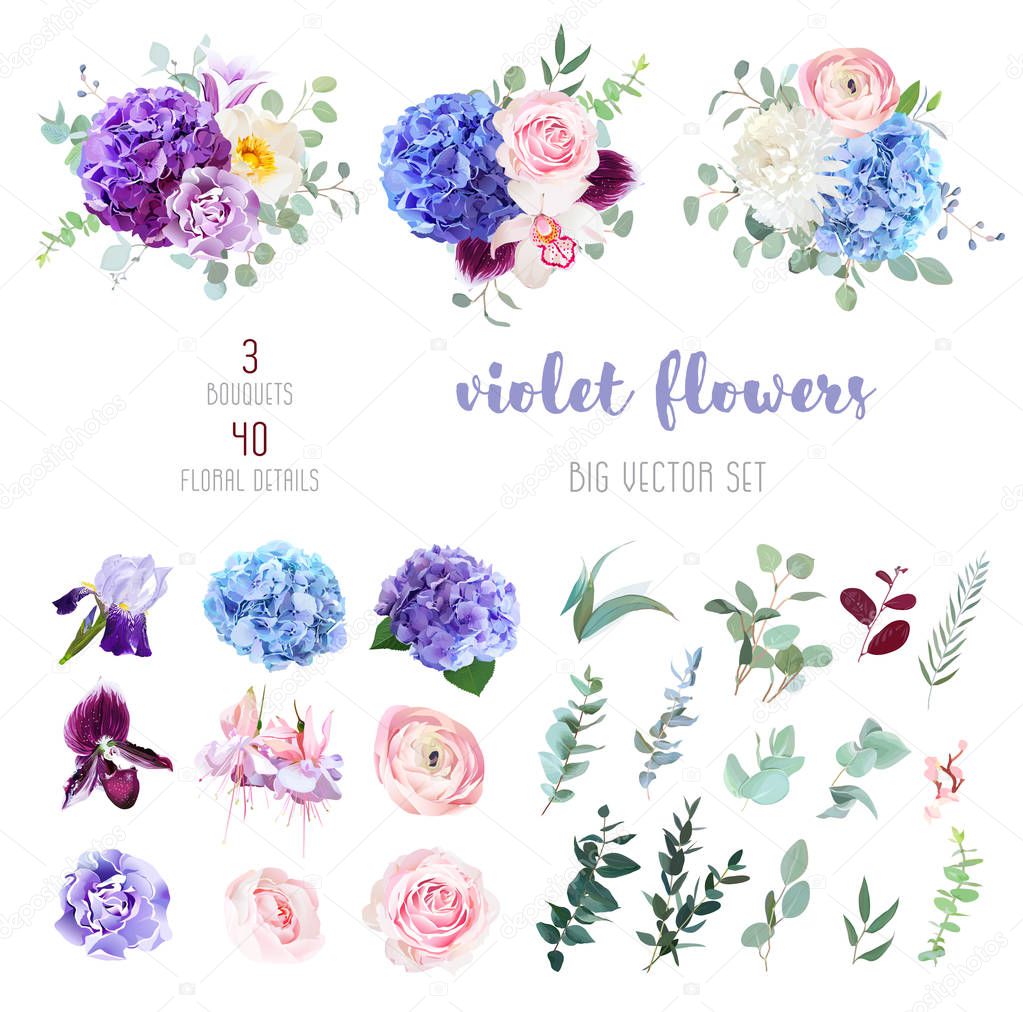 Violet, purple and blue flowers and greenery big vector set