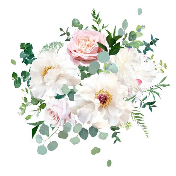 Rosier rougissant rose poussiéreux, fleurs pivoines boisées blanches et crémeuses — Image vectorielle