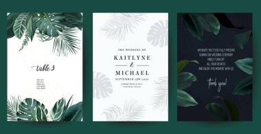 Tropical frames arranged from exotic emerald leaves