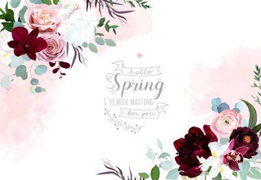 Lüks çiçek vektör çerçevesi. Pembe orkide, gül, ranunculus, bordo kırmızısı şakayık, beyaz ortanca ve iris, tozlu mavi okaliptüs, ranunculus, yeşillik. Suluboya tarzı pembe doku sıçraması. İzole edilmiş.