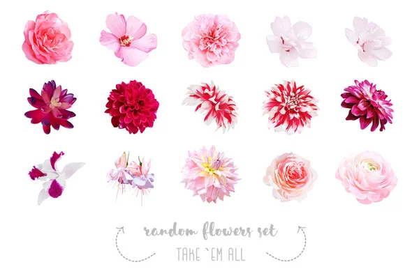 Watercolor style various flowers set. — Stock Vector