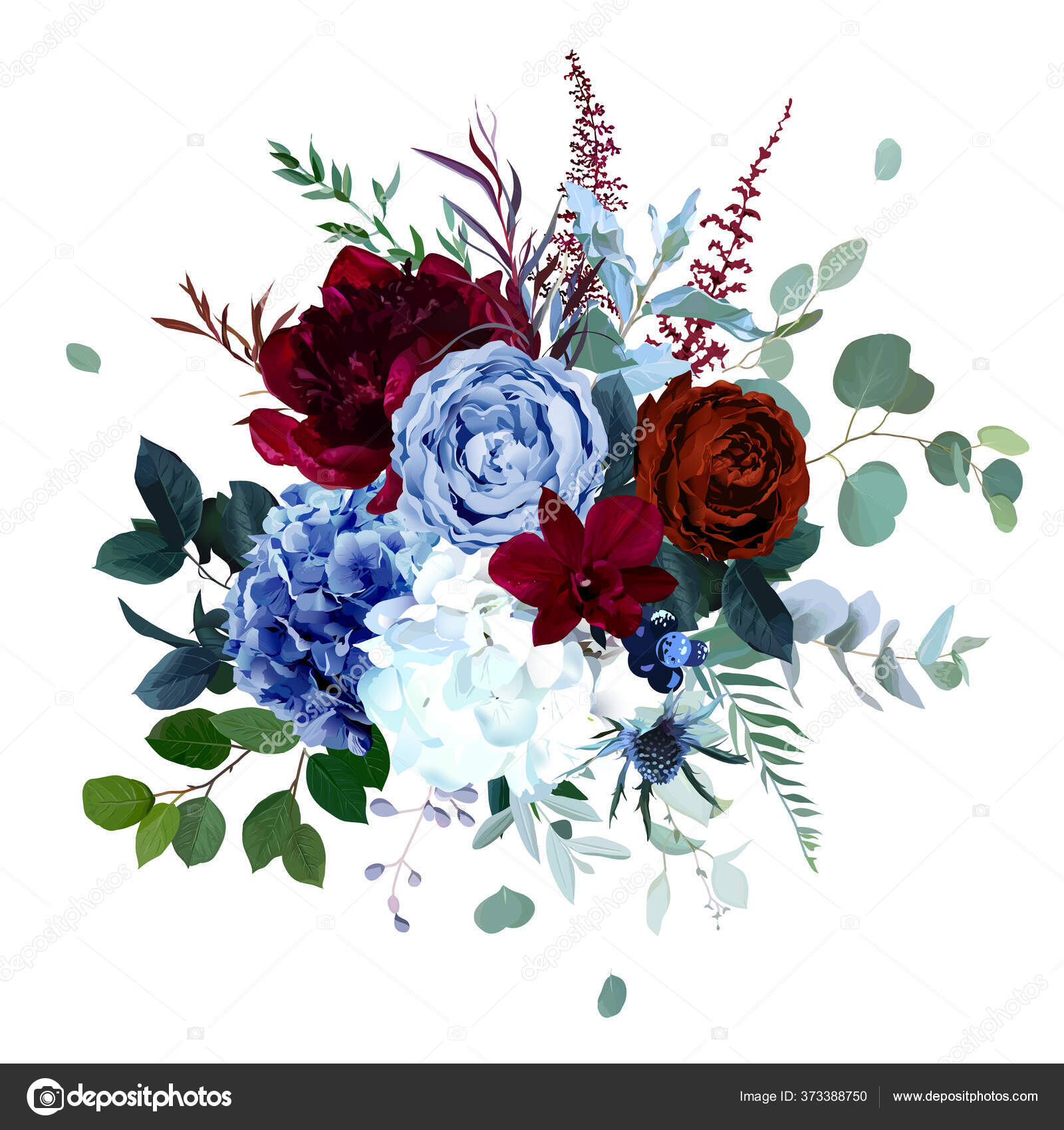 Real azul, rosa jardín marino, hortensias blancas, flores de peonía roja  borgoña Vector de stock #373388750 de ©lavendertime_, image size:1600x1700