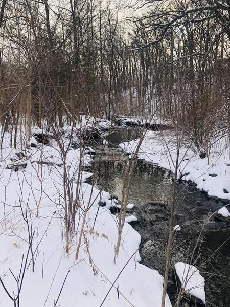 stock image a cold day in a forest contrasts white snow with a river in motion