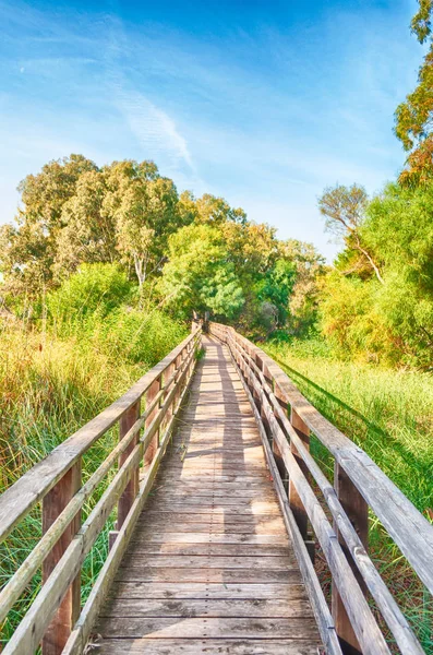 Träbro mitt i naturen — Stockfoto