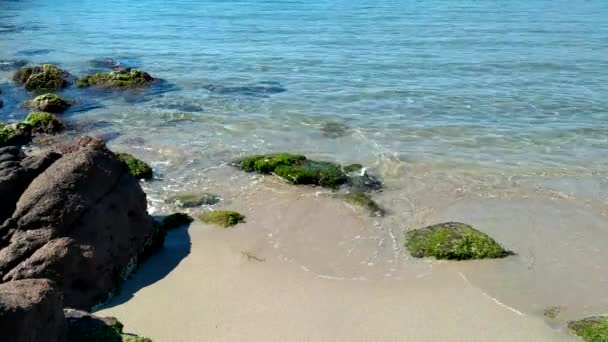 Spiaggia di Castelsardo, Sardegna, nella soleggiata giornata primaverile — Video Stock
