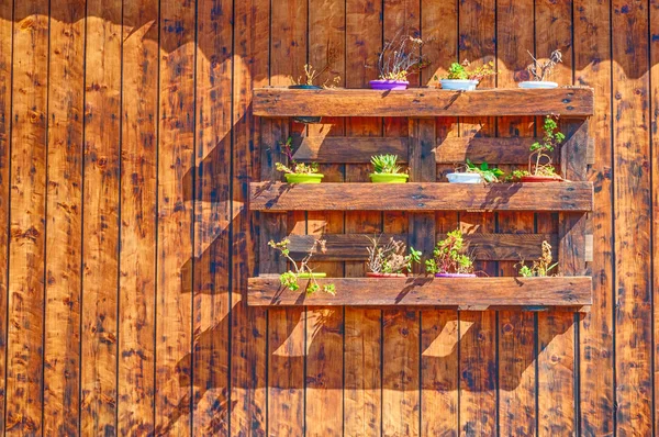 Piccoli vasi di fiori su parete di legno con spazio copia — Foto Stock
