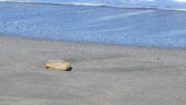 Pequeñas olas en la playa — Vídeos de Stock