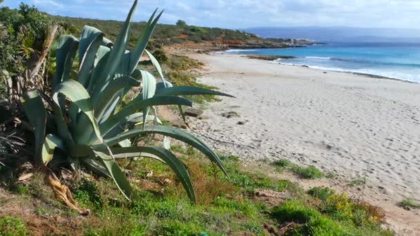 Playa soleada en invierno — Vídeos de Stock