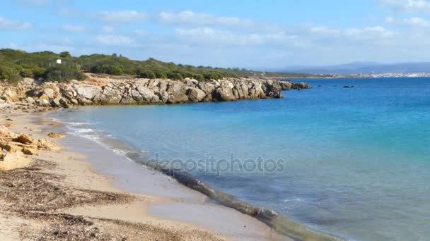 Plage ensoleillée en hiver — Video