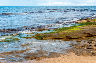 Sahildeki taşın yakınına.