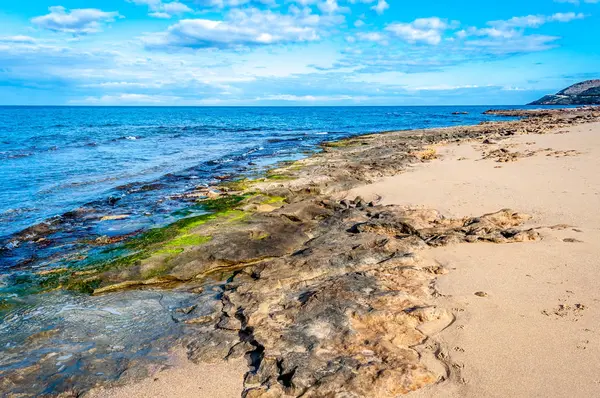 Kışın sahil peyzaj