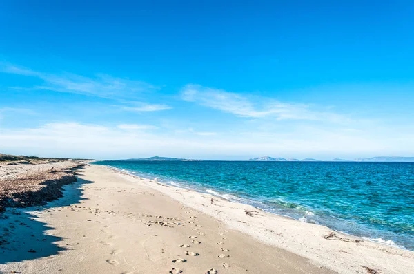 夏のサルデーニャの海岸の風景 — ストック写真