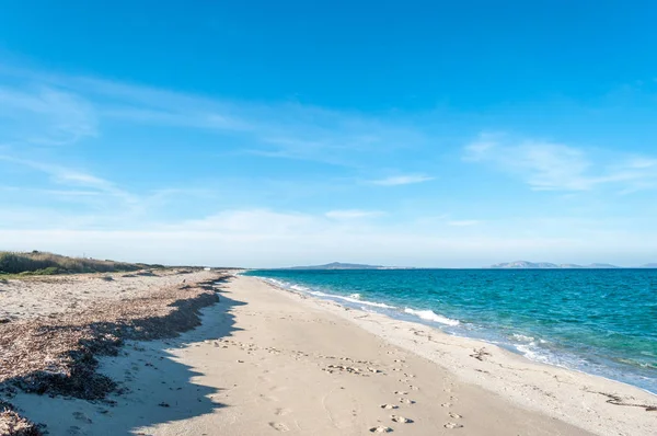 Yatay yaz aylarında Sardunyalı Beach — Stok fotoğraf