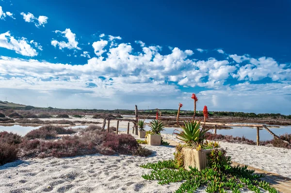 Bažiny nedaleko pláže poblíž Stintino s modrou oblohou — Stock fotografie